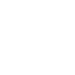 Academia