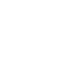 arXiv
