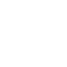 Chainlink