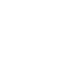 dblp