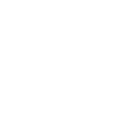 Mastodon