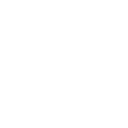 Polkadot
