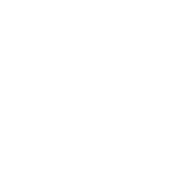 Signal